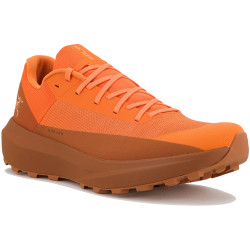 Arcteryx Norvan LD 4 Chaussures homme