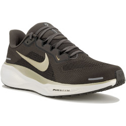 Nike Pegasus 41 JI Chaussures homme