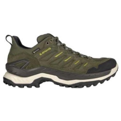 Lowa Innovo Gore-Tex Low - homme