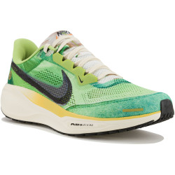Nike Pegasus 41 SE Chaussures homme