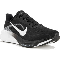 Nike Pegasus 42 Wide Chaussures homme