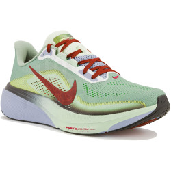 Nike Pegasus 42 Special Edition Chaussures homme