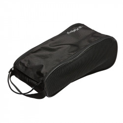 SAC A CHAUSSURES A POINTES