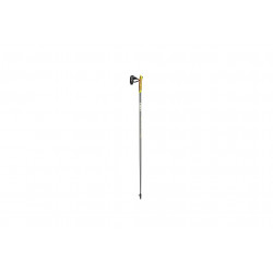 Leki Elite Carbon Bâtons de marche