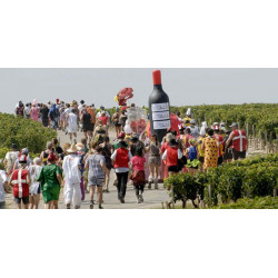 Marathon du Médoc - photo de la 31ème édition