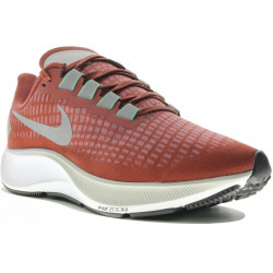 Nike Air Zoom Pegasus 37 Wildrun M Chaussures homme