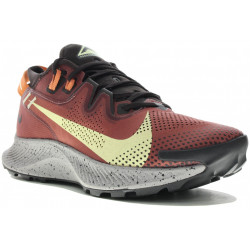 Nike Pegasus Trail 2 M Chaussures homme
