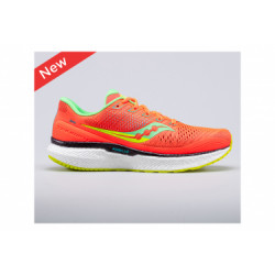 Chaussures saucony triumph 18 41