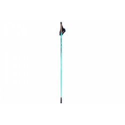 Batons de marche nodique trainer 50  carbone  taille 110