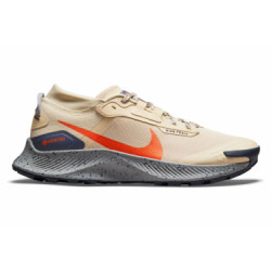 Nike Pegasus Trail 3 GTX - homme - beige