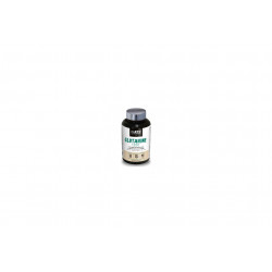 STC Nutrition Glutamine 1200 Diététique Compléments