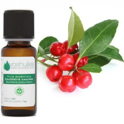 Huile Essentielle de Gaulthérie couchée 10ML