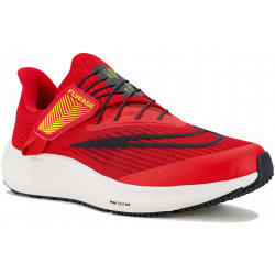 Nike Air Zoom Pegasus 39 FlyEase M Chaussures homme