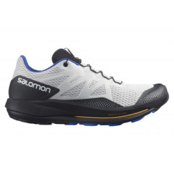 Salomon Pulsar Trail - homme - gris clair