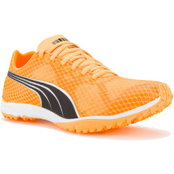 Puma evoSPEED Haraka 7 M Chaussures homme