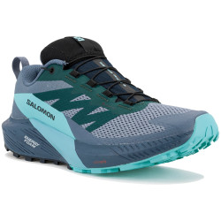 Salomon Sense Ride 5 Gore-Tex M Chaussures homme