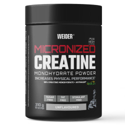 CREATINE MONOHYDRATE MICRONISEE 200 MESH 310G