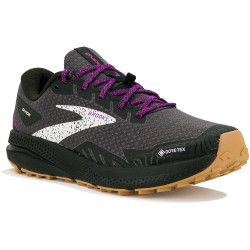 Brooks Divide 4 Gore-Tex W Chaussures running femme