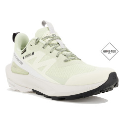 Salomon Elixir Activ Gore-Tex W Chaussures running femme