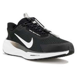 Nike Pegasus EasyOn Chaussures homme