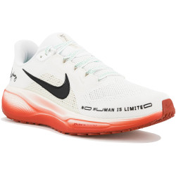 Nike Pegasus 41 EK Chaussures homme