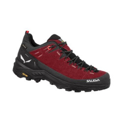 Salewa Alp Trainer 2 Gore-Tex - femme