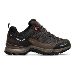 Salewa MTN Trainer Lite GTX - femme